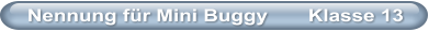 Nennung f�r Mini Buggy       Klasse 13